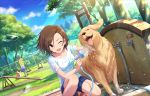  animal artist_request blue_sky breasts brown_eyes brown_hair clothes_writing cloud collarbone day dog dutch_angle earrings golden_retriever idolmaster idolmaster_cinderella_girls idolmaster_cinderella_girls_starlight_stage jewelry kneeling medium_breasts mizuki_seira official_art one_eye_closed open_mouth outdoors park sandals short_hair short_sleeves shorts sky smile sunlight tree water water_drop wet wet_clothes 