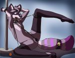  2018 alexander(gallactigher) anthro bdsm bell black_nose bondage bound collar cuntboy cute fur hi_res intersex mammal nude open_mouth procyonid purple_eyes purple_fur pussy raccoon simple_background sinister-jordex solo toy 