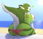  &lt;3 anthro beach big_breasts big_butt big_tail bikini breasts butt canine clothing female floof fur huge_breasts mammal mazzlerazz seaside summer swimsuit thick_thighs wide_hips 