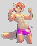  &lt;3 anthro briefs bulge canine clothed clothing ducky_(artist) fluffy fluffy_tail fox hair hi_res inner_ear_fluff male mammal muscular muscular_male orange_hair smile solo teeth tongue topless underwear 