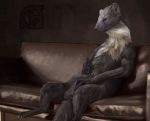  anthro biceps bulge chest_tuft claws clothed clothing cosmiclife fur grey_eyes grey_fur hi_res looking_at_viewer male mammal marten mustelid penis pine_marten pink_nose semi-anthro sitting sofa solo spreading toe_claws tuft whiskers white_fur 
