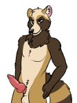  2018 4_fingers anthro balls black_nose canine digital_drawing_(artwork) digital_media_(artwork) erection fur hi_res looking_at_viewer male mammal multicolored_fur nude penis procyonid raccoon sammy sammy_the_tanuki simple_background smile solo tanuki 