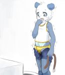  anthro bear blush briefs bulge clothed clothing cute_fangs male mammal omorashi open_mouth panda pants_down partially_clothed peeing ruugiaruu shaking simple_background solo toilet underwear urine wetting white_background young 