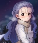  blush breasts brown_eyes brown_scarf closed_mouth coat commission eyebrows_visible_through_hair grey_hair kamille_(vcx68) lisa_(princess_maker) long_hair looking_at_viewer medium_breasts night night_sky outdoors princess_maker princess_maker_3 purple_hair scarf sky smile solo upper_body 