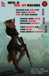  ak12 aleone amber_eyes assault_rifle barefoot canine clothing communism english_text ethnostate fingerless_gloves gloves gun jackal jungle mammal military military_beret nepal politics ranged_weapon rifle shorts simplle_background solo text wakanda weapon 