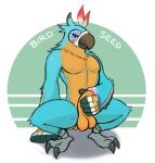  anthro avian bad_pun balls bedroom_eyes bird breath_of_the_wild cum half-closed_eyes kass_(zelda) male masturbation muscular muscular_male nintendo pecs penile_masturbation penis rito seductive smile the_legend_of_zelda unknown_artist_(artist) video_games 