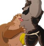  anthro big_bulge bulge canine clothing duo jockstrap licking male male/male mammal mosin mustelid nipple_lick nipples open_mouth otter overweight pecs smile standing tongue tongue_out underwear 