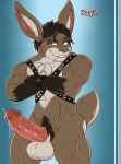  2012 aaron_(artist) abs anthro balls biceps big_balls big_ears biped brown_fur brown_hair brown_tail buckteeth character_name crossed_arms digital_media_(artwork) erection eyebrows front_view fur glans gradient_background grey_eyes hair harness hi_res humanoid_penis kayin_mccloud kougatalbain lagomorph looking_at_viewer male mammal mostly_nude motion_lines multicolored_fur multicolored_tail muscular muscular_male pecs penis pink_nose pink_penis portrait precum pubes rabbit raised_eyebrow short_hair simple_background smile smirk solo standing tan_balls tan_fur tan_tail teeth three-quarter_portrait two_tone_tail vein veiny_penis whiskers wristband 