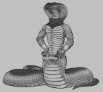  animal_genitalia animal_penis cobra erection hemipenes male multi_penis naga nude penis reptile scales scalie slit snake snake_hood yaroul 
