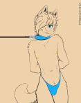  anthro blue_eyes bulge canine clothing collar dog hands_behind_back leash male mammal navel nipples shiuk simple_background solo speedo standing swimsuit teenager young 