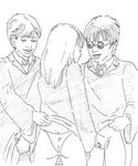  harry_james_potter harry_potter hermione_granger ron_weasley tagme 