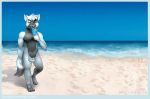  anthro balls beach canine compression_artifacts digital_media_(artwork) erection eye_patch eyewear food fur gamibri looking_at_viewer male mammal nude penis popsicle seaside smile solo wolf 