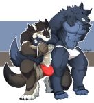  2018 anthro bulge canine clothed clothing digital_media_(artwork) duo fur hair hi_res kamyuelo male mammal muscular muscular_male partially_clothed underwear wolf 