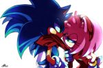  amy_rose annoyed anthro clothing duo female gloves hedgehog male mammal sonic_(series) sonic_the_hedgehog video_games ziver-chen 