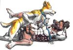  2017 african_wild_dog anal anal_penetration anthro anthro_on_anthro biped butt canine collar cum dog duo erection fangs fur glans humanoid_penis husky leash leash_pull looking_pleasured lying male male/male male_penetrating mammal missionary_position muscular muscular_male on_back open_mouth open_smile penetration penis power_bottom precum sex side_view signature smile spread_legs spreading tabaxitaxi traditional_media_(artwork) 