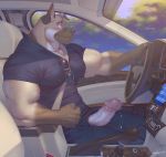  anthro blush canine car clothed clothing driving erection eyewear humanoid_penis male mammal muscular muscular_male nipple_bulge penis penis_through_fly poking_out precum raccoon21 sitting solo sunglasses tight_clothing vehicle vein 