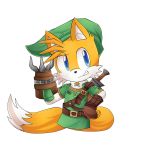  anthro canine clothing cosplay cuteytcat fox gloves hi_res link male mammal miles_prower nintendo solo sonic_(series) the_legend_of_zelda video_games 