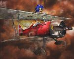  aircraft airplane anthro canine clothing cloud duo eyewear fox gloves goggles hedgehog male mammal miles_prower reillyington86 signature sonic_(series) sonic_the_hedgehog video_games 