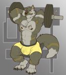  2018 abs absurd_res anthro biceps big_muscles black_nose bulge canine claws clothing digital_media_(artwork) exercise fur hair hi_res male mammal muscular muscular_male nightterror nipples pecs shorts simple_background toe_claws workout 
