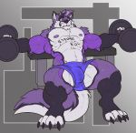 2018 abs anthro biceps big_muscles black_nose bulge canine claws clothing dumbbell exercise folf fox fur hair hi_res hybrid male mammal muscular muscular_male nightterror nipples pecs purple_fur purple_hair shorts shyloc simple_background weightlifting weights white_fur wolf workout 