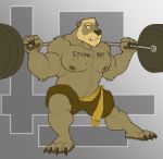 2018 absurd_res anthro bear beard biceps claws clothed clothing exercise facial_hair fur hair hi_res male mammal muscular muscular_male nightterror nipples pecs shorts simple_background teeth toe_claws topless weightlifting weights workout 