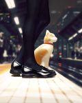  absurdres animal black_footwear black_legwear blurry blurry_background cat cat_focus closed_eyes closed_mouth depth_of_field from_side guweiz highres loafers lower_body original pantyhose profile railroad_tracks shoes smile standing train_station train_station_platform whiskers 