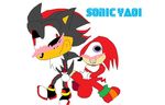  knuckles_the_echidna shadow_the_hedgehog sonic_team tagme 