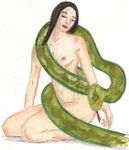  bellatrix_lestrange harry_potter nagini tagme 