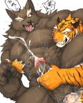  abs anal balls canine captainjohkid colored cum cum_in_ass cum_inside erection feline handjob japanese_text male male/male mammal muscular orgasm pecs penis sex simple_background text tiger white_background wolf 