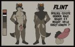 anthro brown_body brown_eyes brown_fur butt canid canine canis clawed_fingers claws coyote erection flaccid fur genitals hair hi_res lewd_latte male mammal model_sheet nipples orange_hair penis smile solo tail toe_claws