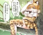  animal_ears blonde_hair blood blush_stickers bow bowtie branch breast_pocket check_translation commentary day dripping elbow_gloves eyebrows_visible_through_hair fang fur_collar gloves grey_hair hair_between_eyes hand_on_own_forehead hand_on_own_stomach hand_up in_tree jaguar_(kemono_friends) jaguar_ears jaguar_print jaguar_tail kemono_friends menstruation multicolored_hair multiple_girls open_mouth otter_ears outdoors pocket print_gloves print_legwear print_skirt shirt short_sleeves sitting sitting_in_tree skirt small-clawed_otter_(kemono_friends) smile solo_focus sweat tail tanaka_kusao thighhighs translation_request tree tsurime white_hair white_shirt yellow_eyes zettai_ryouiki 