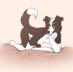 anthro border_collie breasts canid canine canis collie domestic_dog featureless_breasts female floppy_ears head_on_hand herding_dog mammal pastoral_dog raised_tail ren_collie sheepdog solo spicypigeon tail