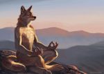  anthro canine casual_nudity digtigrade fur male mammal meditating mountain nude pawpads solo sunrise tan_fur trunorth whiskers wolf 