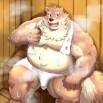 1:1 2023 anthro belly big_belly blush bodily_fluids brown_body bulge canid canine canis domestic_dog hi_res kemono male mammal mohumohudansi moobs overweight overweight_male sauna sitting solo steam sweat towel towel_around_neck