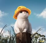  animal_focus artist_name blue_sky cat cloud cloudy_sky commentary day english_commentary full_body grass hat highres no_humans original outdoors sitting skullchimes sky solo watermark yellow_headwear 