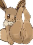 anthro colored eevee female generation_1_pokemon genitals hi_res nelsi nintendo plump_labia pokemon pokemon_(species) pussy sketch solo