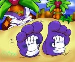 3_toes big_feet big_the_cat big_toes blush clothing disembodied_hand feet fluffyautomaton foot_focus gloves grin handwear hi_res motion_lines palm_tree partially_buried plant sega signature smile sonic_the_hedgehog_(series) tickling tickling_feet toes tree