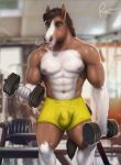 5_fingers anthro biped bulge clothed clothing clydesdale countershade_torso countershading draft_horse dynamo_(muscletarzan) equid equine exercise eyebrows fingers hi_res horse male mammal muscular muscular_anthro muscular_male rov tail weightlifting weights workout yellow_clothing