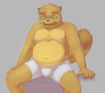  2018 amber_eyes anthro belly boxer_briefs brown_fur bulge canine chest_tuft clothed clothing eyewear fur glasses grey_background kounosuke_(morenatsu) male mammal morenatsu multicolored_fur nipples open_mouth overweight overweight_male partially_clothed plantigrade ringtail simple_background solo tanuki tuft two_tone_fur underwear 