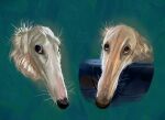 ambiguous_gender black_nose borzoi canid canine canis cc-by-nc creative_commons digital_media_(artwork) domestic_dog feral floppy_ears fur hi_res hunting_dog long_snout mammal rappenem sighthound snout solo whiskers white_body white_fur