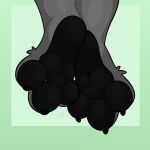 anthro barefoot black_body black_pawpads canid canine canis claws digital_media_(artwork) feet foot_fetish foot_focus frodo fur grey_body grey_fur hindpaw jackal machine male mammal pawpads paws protogen simple_background solo toe_claws toes yuri_chacal