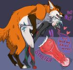 anthro anthro_on_feral anthro_penetrated avian beak bestiality bodily_fluids canid canine countershading cum cum_inside cutaway dialogue duo english_text female feral feral_penetrating feral_penetrating_anthro feral_penetrating_female forbitten fox fur genital_fluids good_boy gryphon heart_symbol hi_res insemination_request jazzio_(jazzio_gal) knotting male male/female mammal mythological_avian mythological_creature mythology nipple_piercing nipples orange_body orange_fur penetration piercing sex simple_background stretched_pussy text werefox_(character)