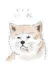  animal_focus black_eyes dog english_text frown looking_at_viewer no_humans original portrait shiba_inu simple_background waju220 whiskers white_background 