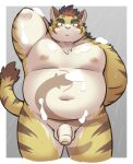 2024 absurd_res anthro balls belly big_belly blush felid genitals hi_res hitachi_(tamacolle) kemono male mammal moobs navel nipples overweight overweight_male pantherine penis ptcmtr solo tamacolle tiger