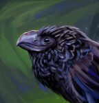 absurd_res ambiguous_gender avian beak bird black_body black_feathers cc-by-nc corvid corvus_(genus) creative_commons digital_media_(artwork) digital_painting_(artwork) feathers feral hi_res oscine passerine rappenem raven realistic simple_background solo