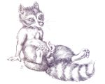  2018 animal_genitalia animal_penis anus balls digital_media_(artwork) erection fur hi_res male mammal nude oddwilds open_mouth penis procyonid raccoon semi-anthro simple_background solo 