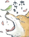  animal animal_focus animal_on_head arai_youjirou bird bird_on_head closed_eyes commentary_request dog falling_petals from_side no_humans on_head open_mouth original petals profile shiba_inu simple_background translation_request white_background 