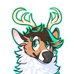 1:1 2019 absurd_res alpha_channel ambiguous_form antlers black_nose blue_eyes blush blush_lines brown_body brown_fur cel_shading deer digital_drawing_(artwork) digital_media_(artwork) dyyrlysh fur gradient_eyes gradient_inner_ear gradient_outline green_eyes headshot_portrait hi_res horn kristoffer_everglade krita_(artwork) male mammal new_world_deer pink_blush portrait shaded simple_background snout solo tan_antlers transparent_background white-tailed_deer white_body white_fur