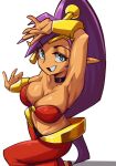  absurdres arabian_clothes belly_dancing big_hair blue_eyes bracer breasts dancer dark-skinned_female dark_skin earrings genie harem_pants highres hoop_earrings jewelry long_hair medium_breasts moxydraws pants pointy_ears purple_hair shantae shantae_(series) smile teeth 