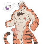 5_fingers abs absurd_res anthro balls chest_fur erection felid feline fingers fur fuzzywrath genitals hi_res humanoid_genitalia looking_down male mammal muscular nipples nude pantherine pecs penis simple_background solo stripes thought_bubble tiger